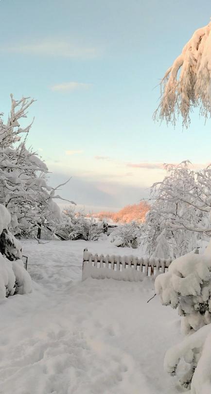 Smedager Hus Daire Bolderslev Dış mekan fotoğraf